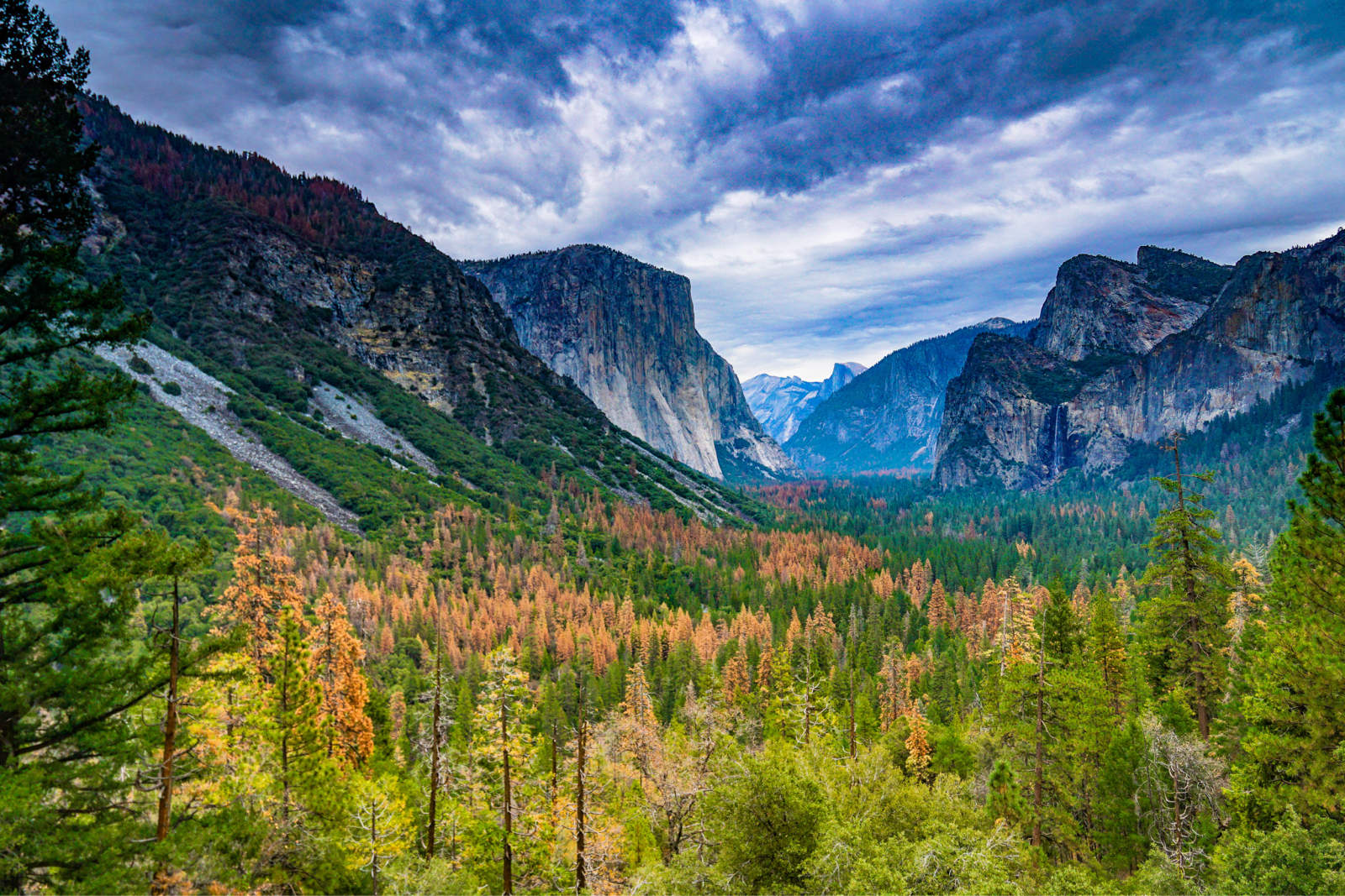 A green valley of grass and plant life overlooked by mountain peaks in the distance.