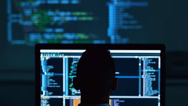 Bespoke Custom Software Development Australia