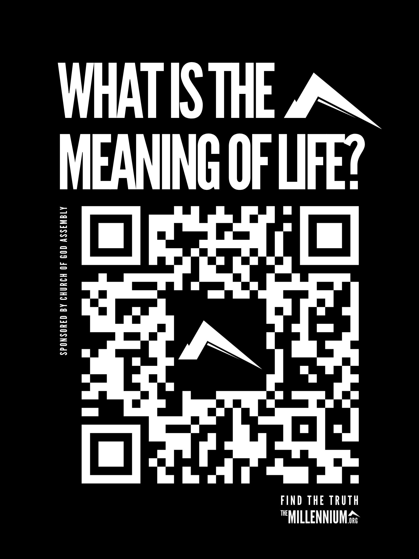 What Is The Meaning Of Life?