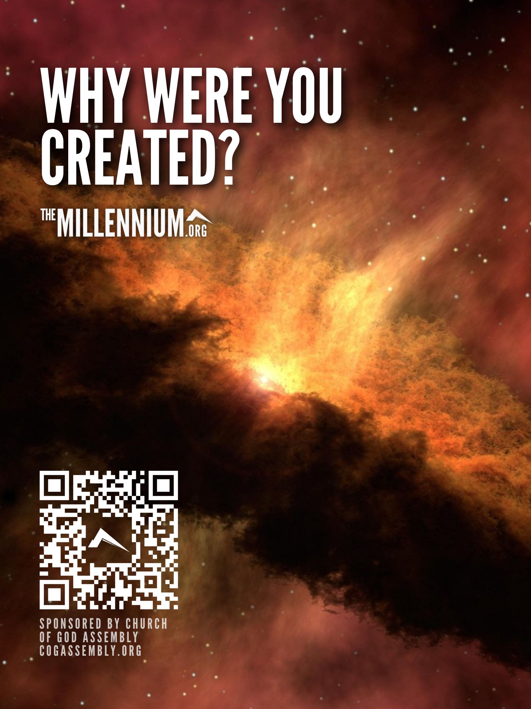 Why Were You Created?