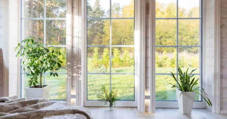 Large sunlit windows, greenery outside, potted plants inside.
