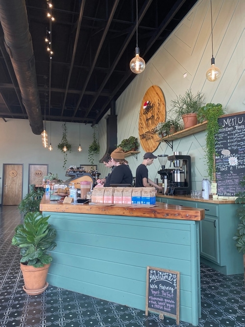 The interior of a coffee shop. The walls are a light sage and the counter is teal with a wooden countertop. There are plants on shelves behind the counter and on the floor around the counter. The tile is black and white with an eight-point star design. There are Edison bulbs hanging from the ceiling.