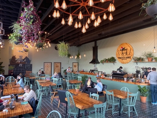 The interior of a coffee shop. The walls are a light sage, the counter and chairs are teal, and the counter top and tables are a stained wood. There are plants on shelves behind the counter, on the floor around the counter, and hanging from the ceiling. The tile is black and white with an eight-point star design. There are Edison bulbs hanging from the ceiling.