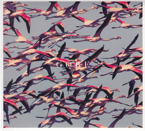 flamingos in flight