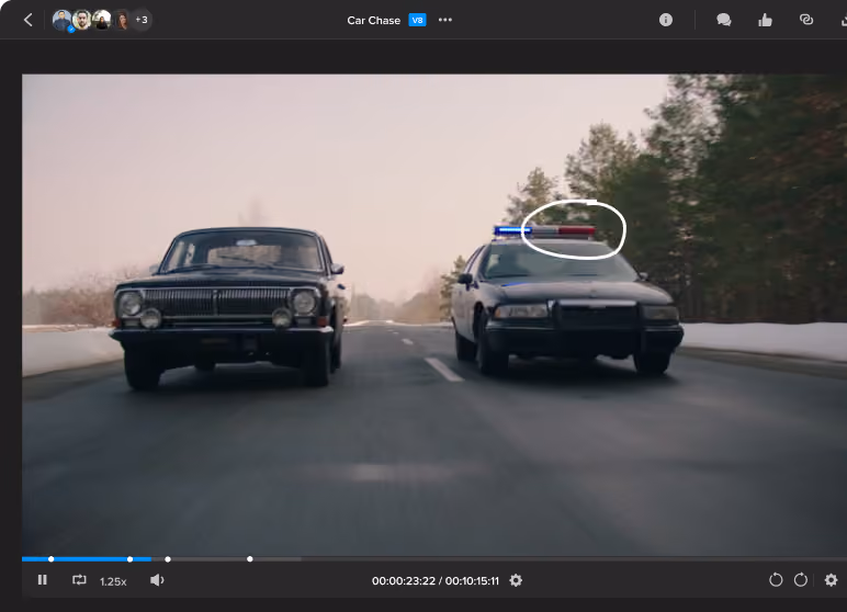 Dailies software screenshot