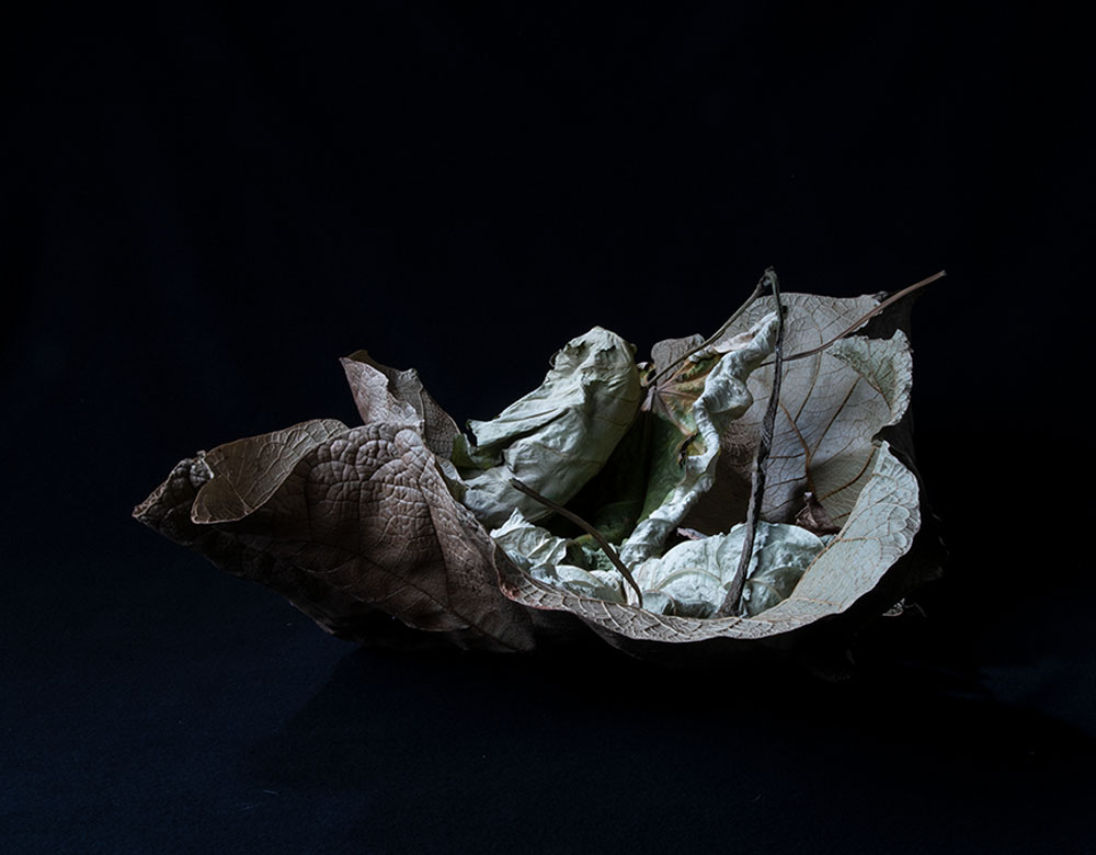 Hannele Peltorinne Chiaroscuro – valokuvateos