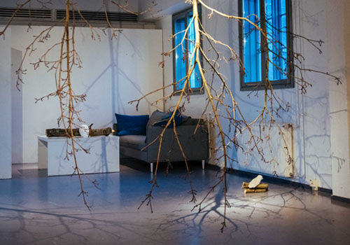 Hannele Peltorinne installaatiot