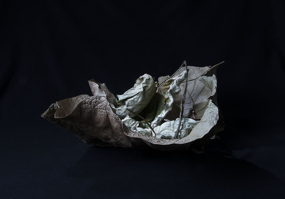 Hannele Peltorinne, Valokuvat, Chiaroscuro  