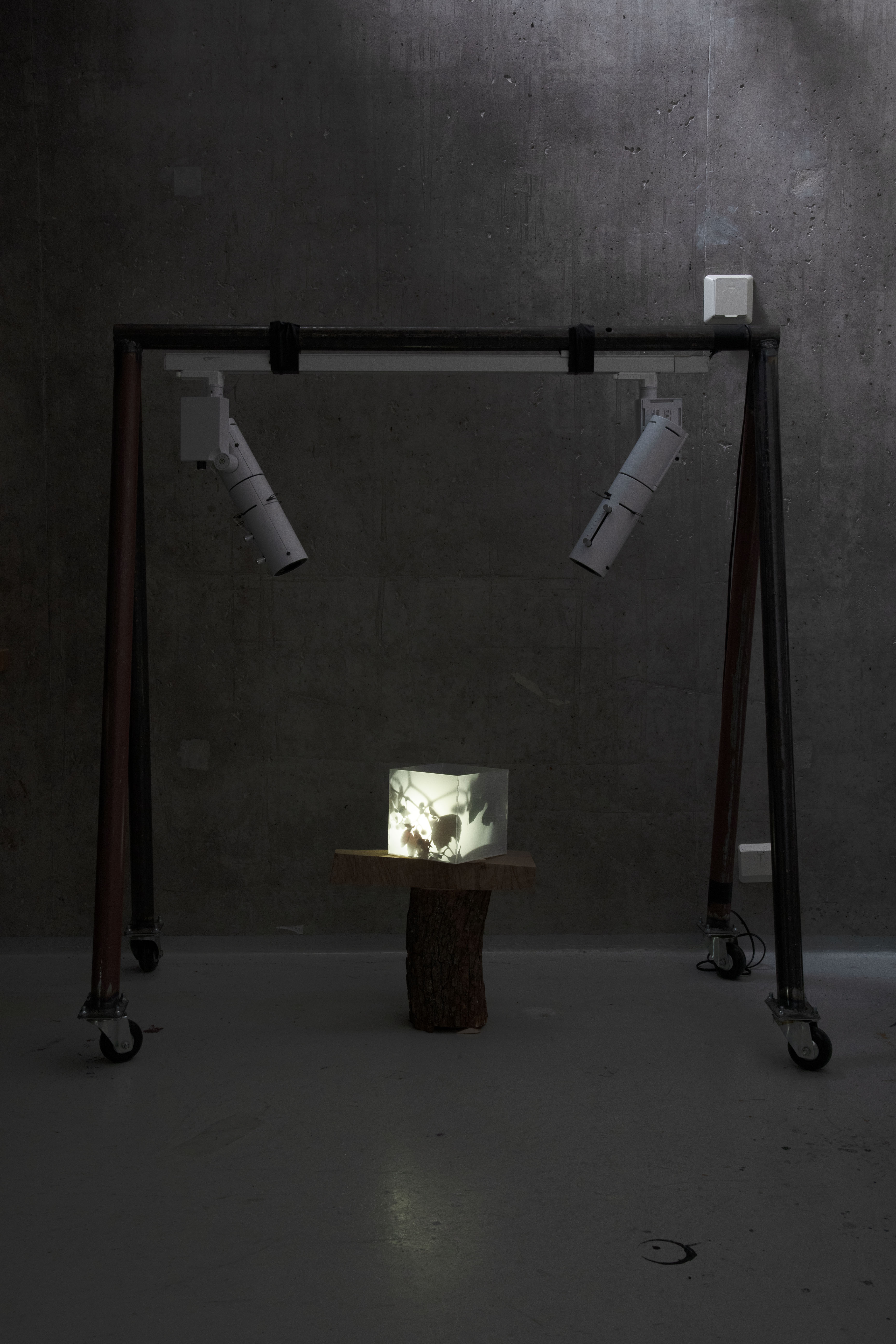 Hannele Peltorinne, Installaatiot, Dark/Light
