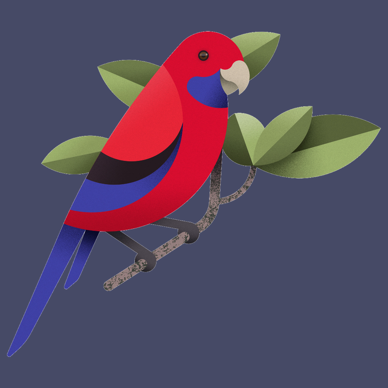 Illustrated crimson rosella perched on a branch
