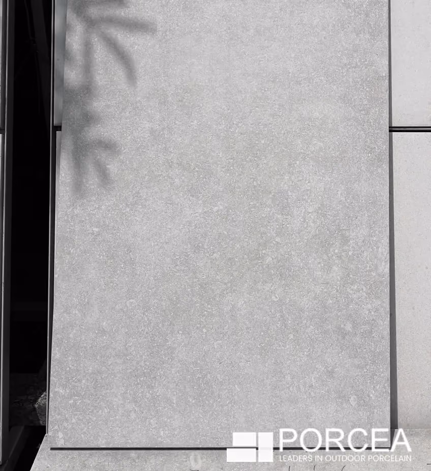 Porcea Moongrey