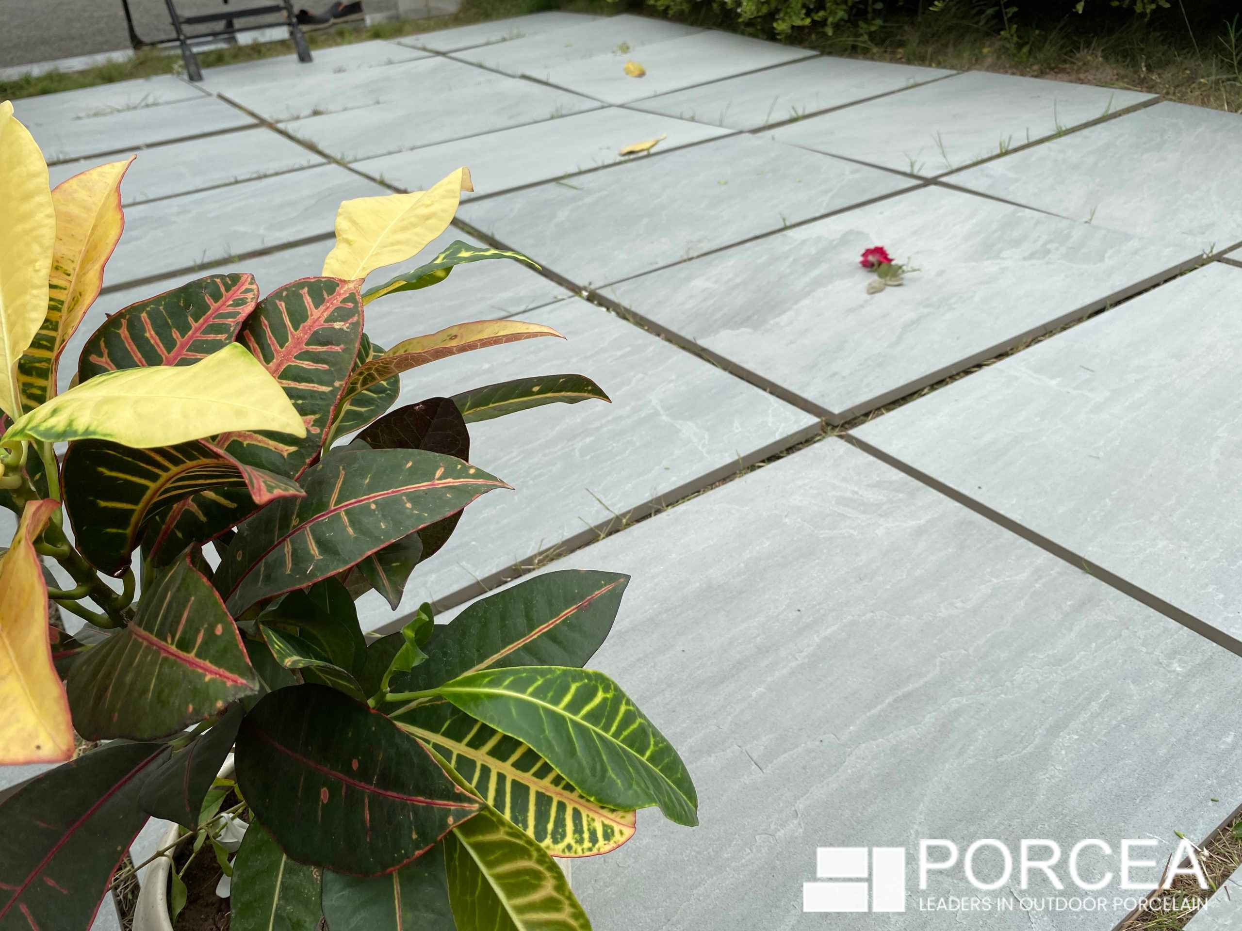 Porcea Ice Grey