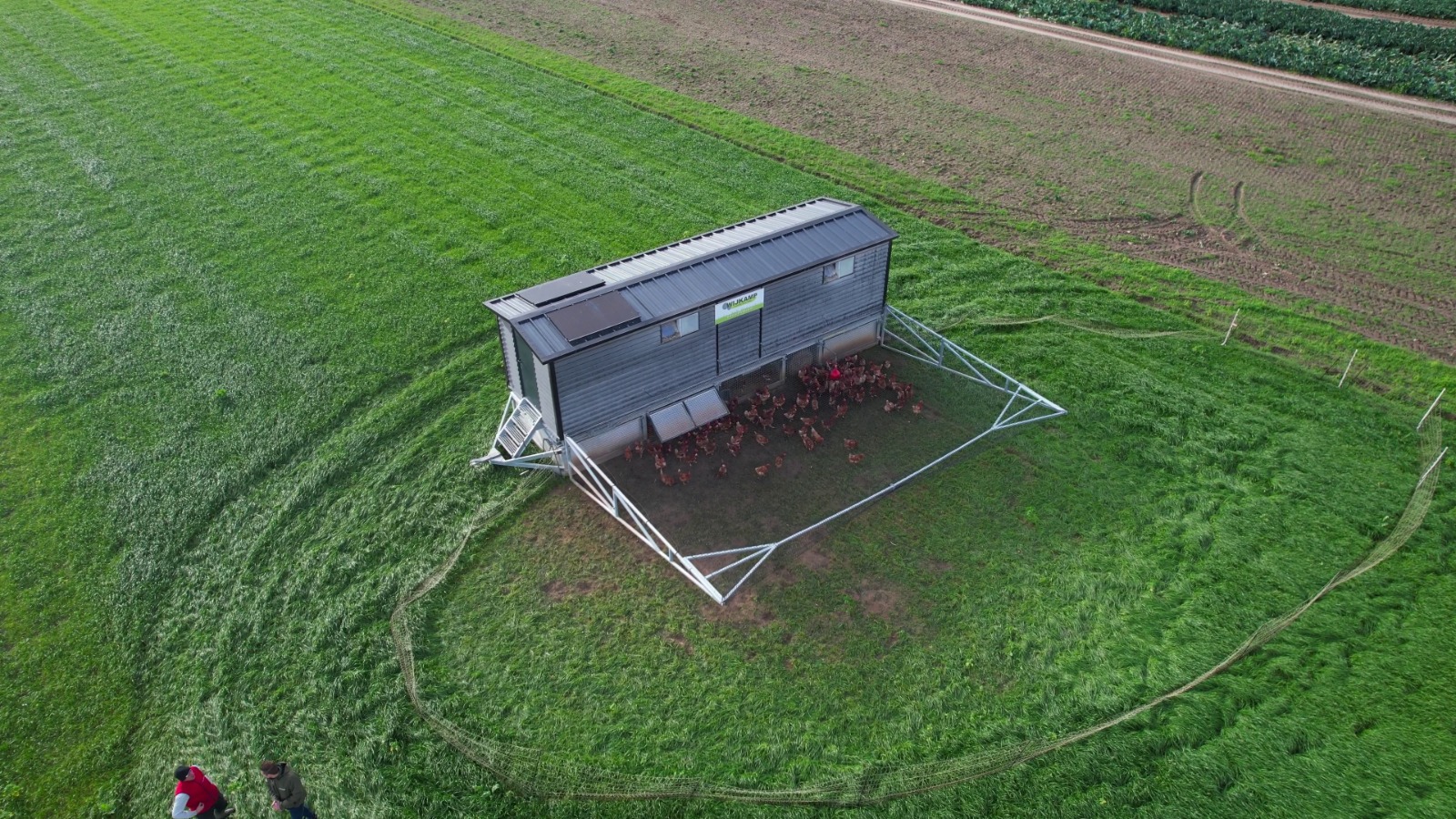 Fence device and poultry netting