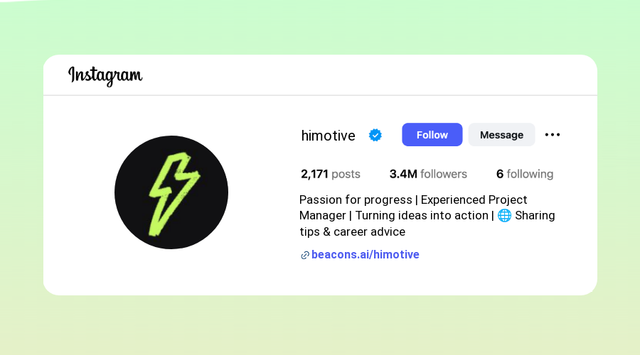 Professional Instagram Bios samples