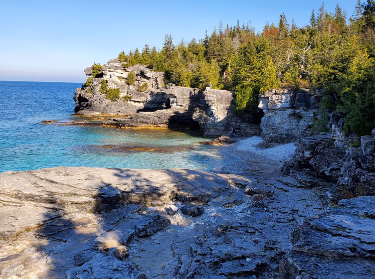 Rocky shoreline with clear blue water and dense evergreen trees under a clear sky.