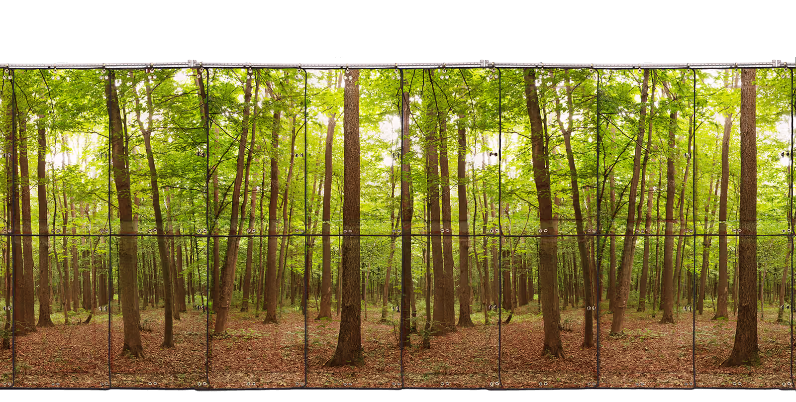 Stampa di alberi ambientali su barriera.