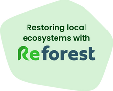 Restoring local ecosystems with Reforest