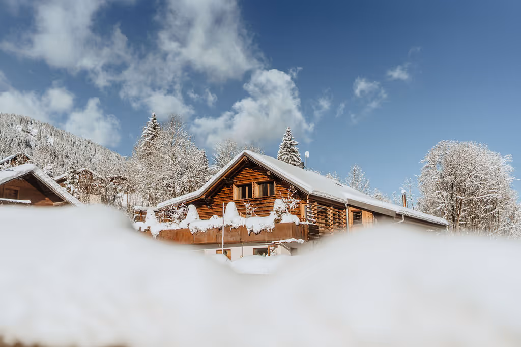 Scierie du Moulin neuf