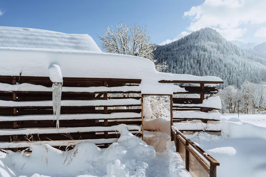 Scierie du Moulin neuf