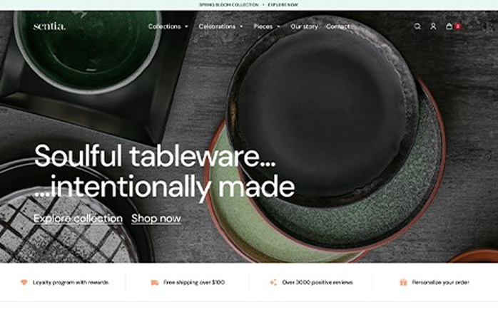 Darmowy szablon Sentia