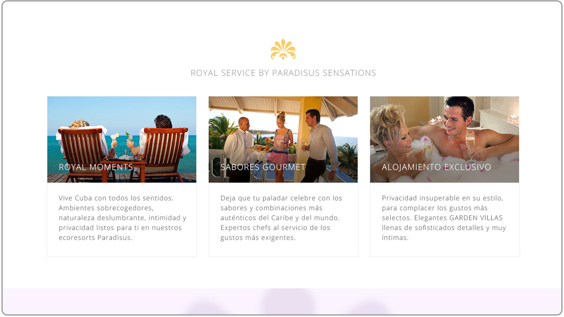 Crafting a Modern Hotel Website