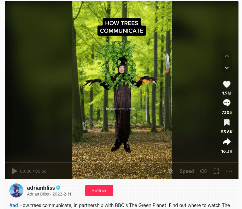 Creative visualization of a person dressed as a tree explaining tree communication