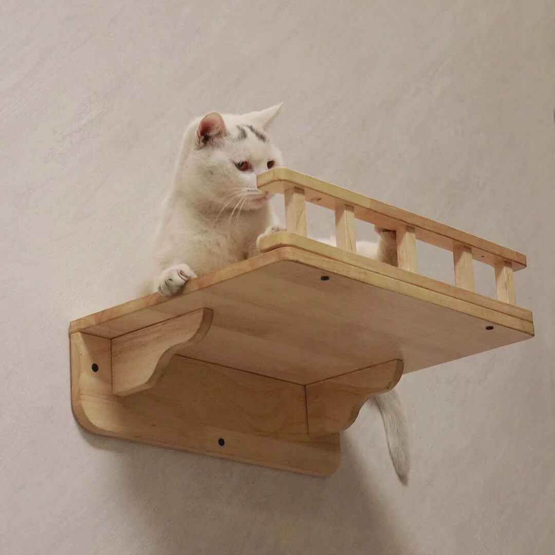 White cat perched on a wooden wall-mounted cat shelf