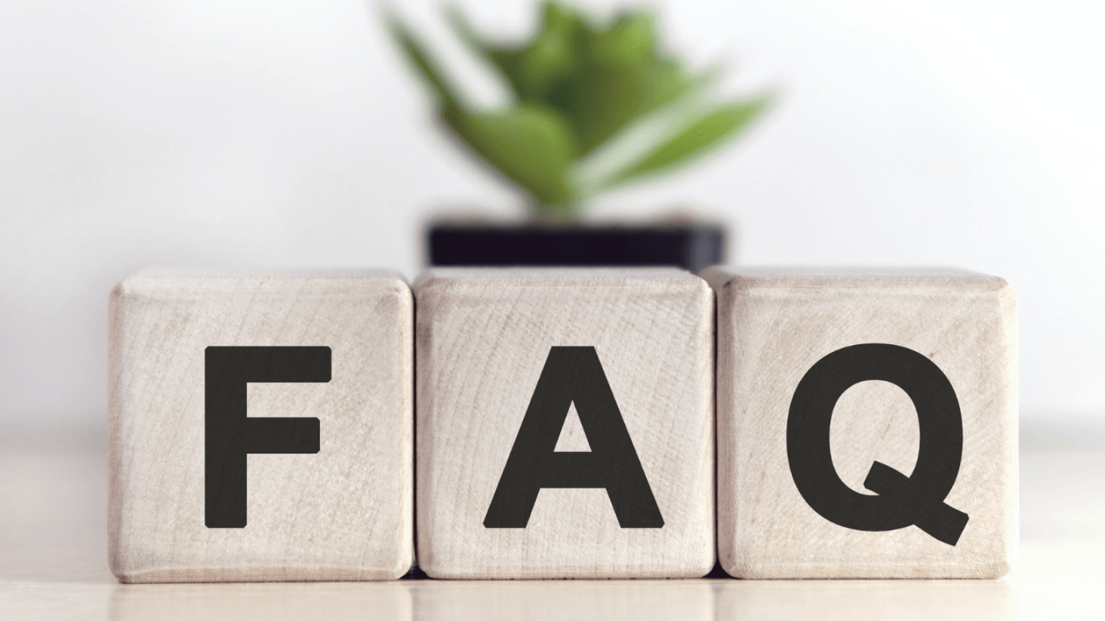 FAQ wooden blocks with blurred green plant in background