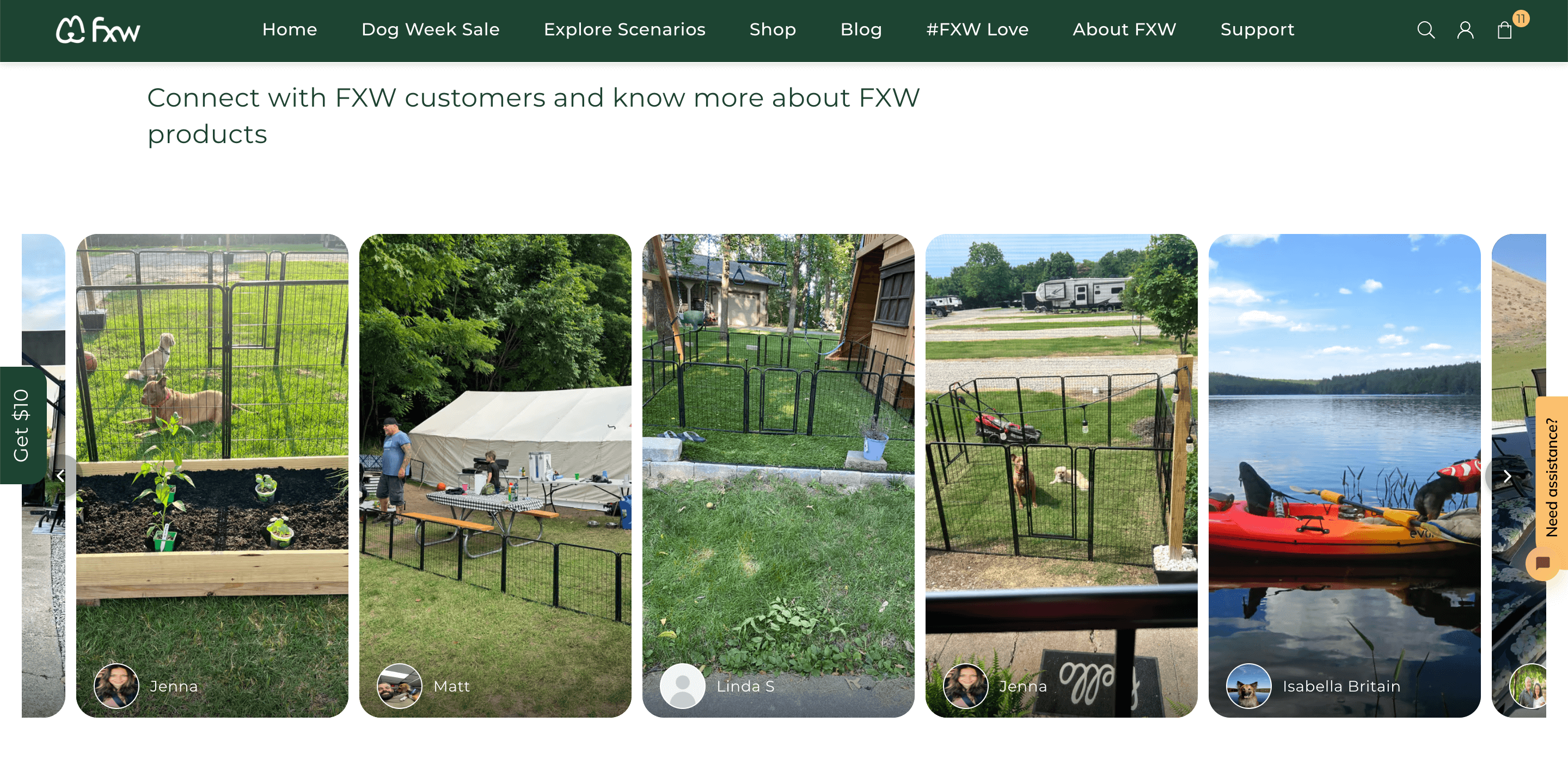 Metal dog kennel enclosures in various outdoor settings with plants