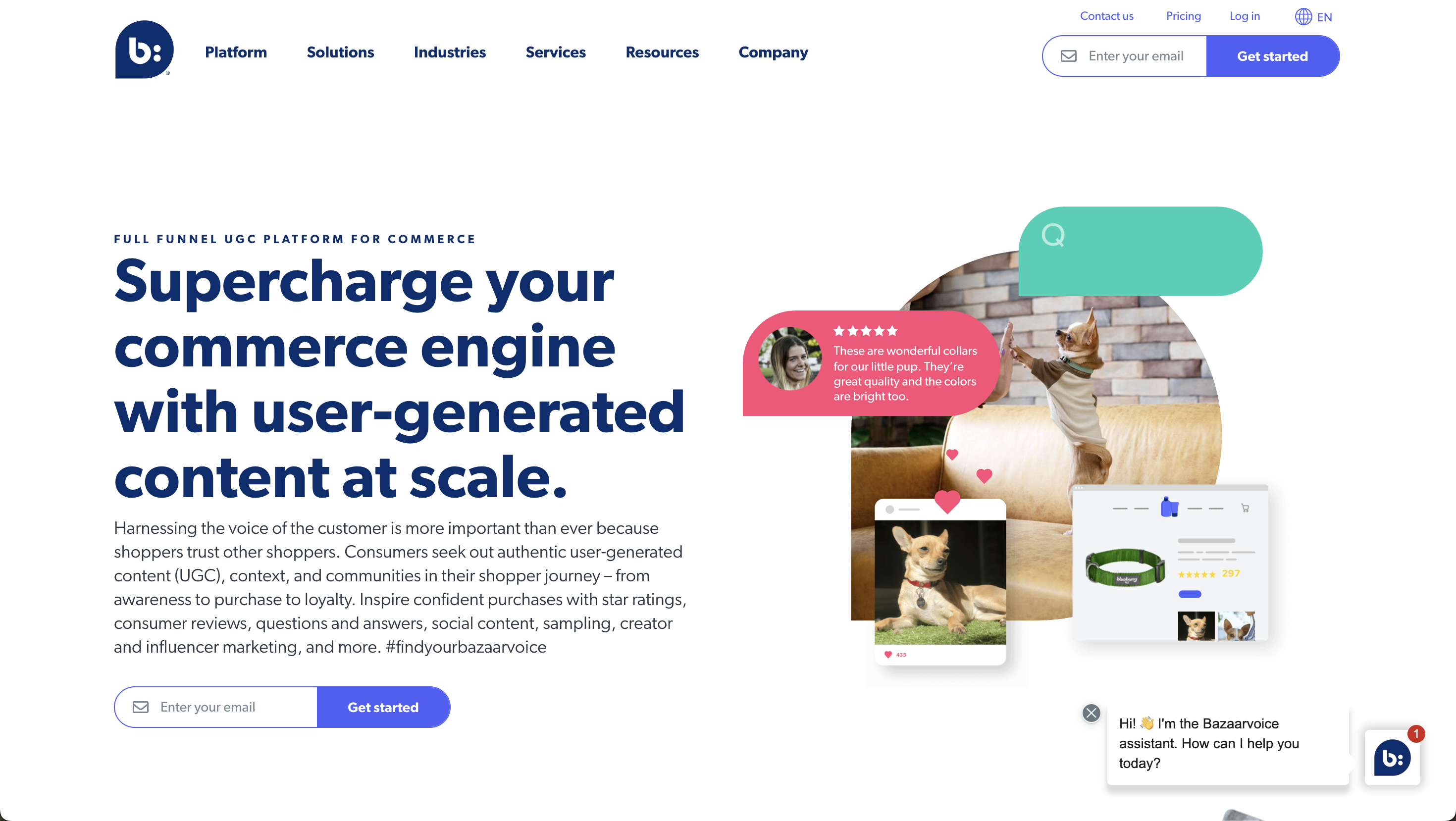 User-generated content platform showcasing dog product reviews and marketing
