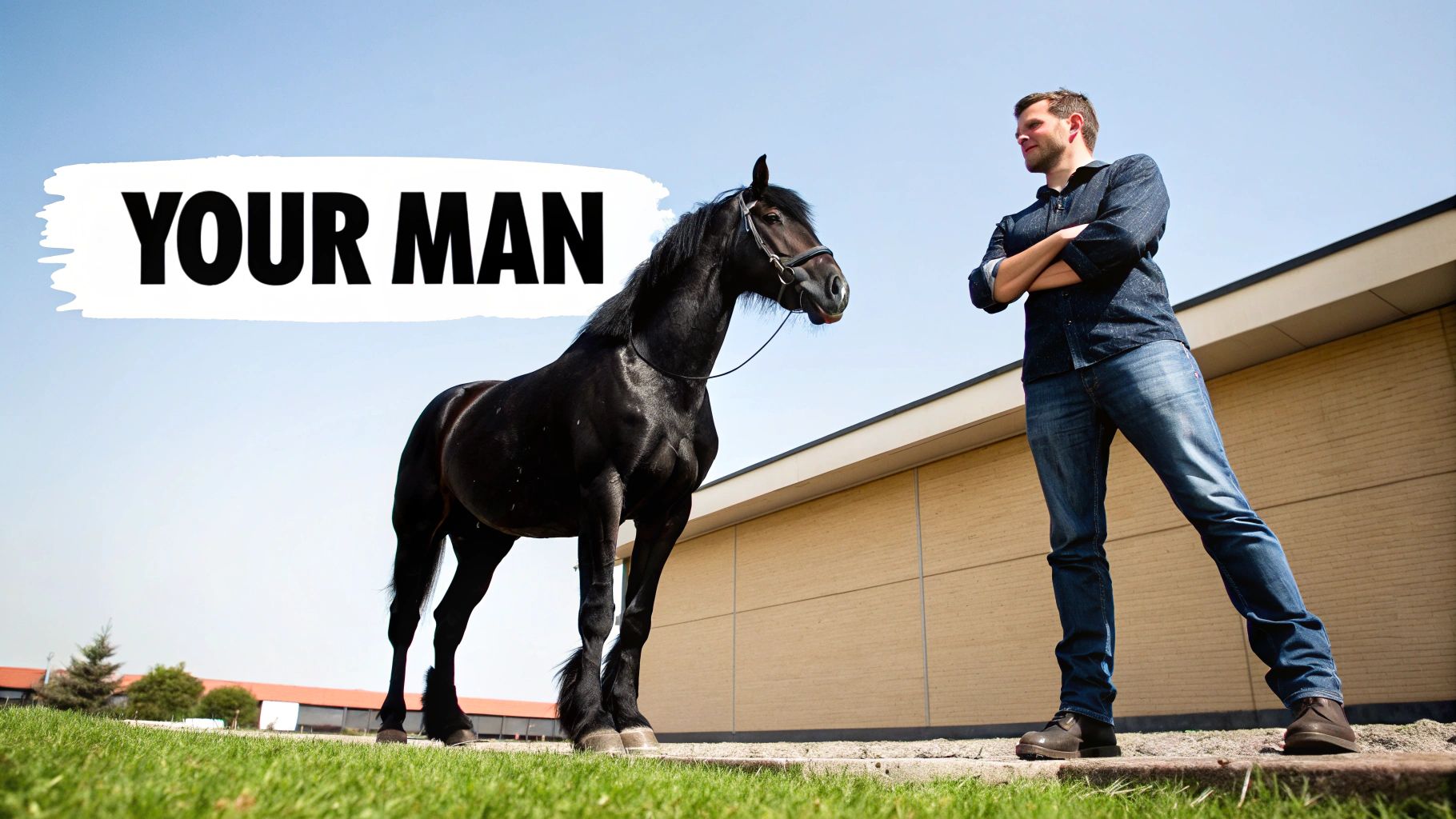 Black horse standing next to a person with crossed arms outdoors