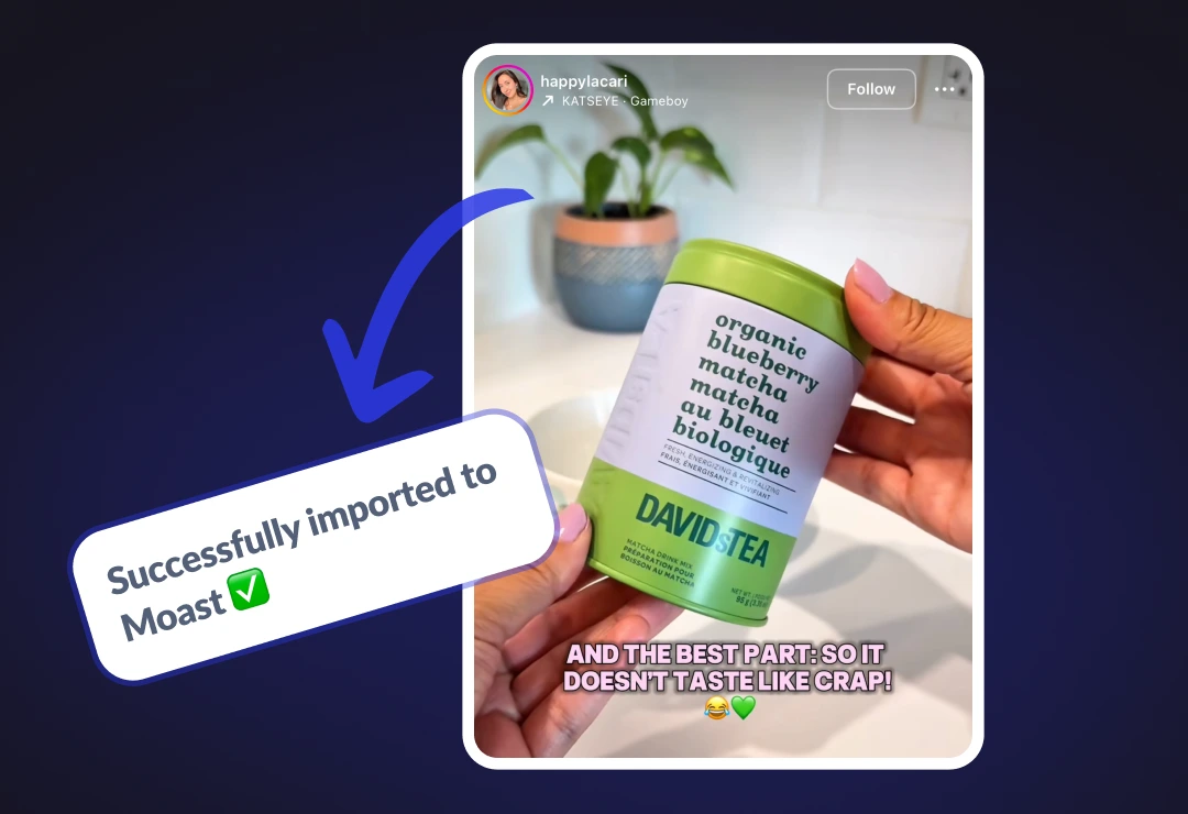 David's Tea organic blueberry matcha in hand with houseplant background