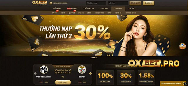 Giao diện chuyên nghiệp