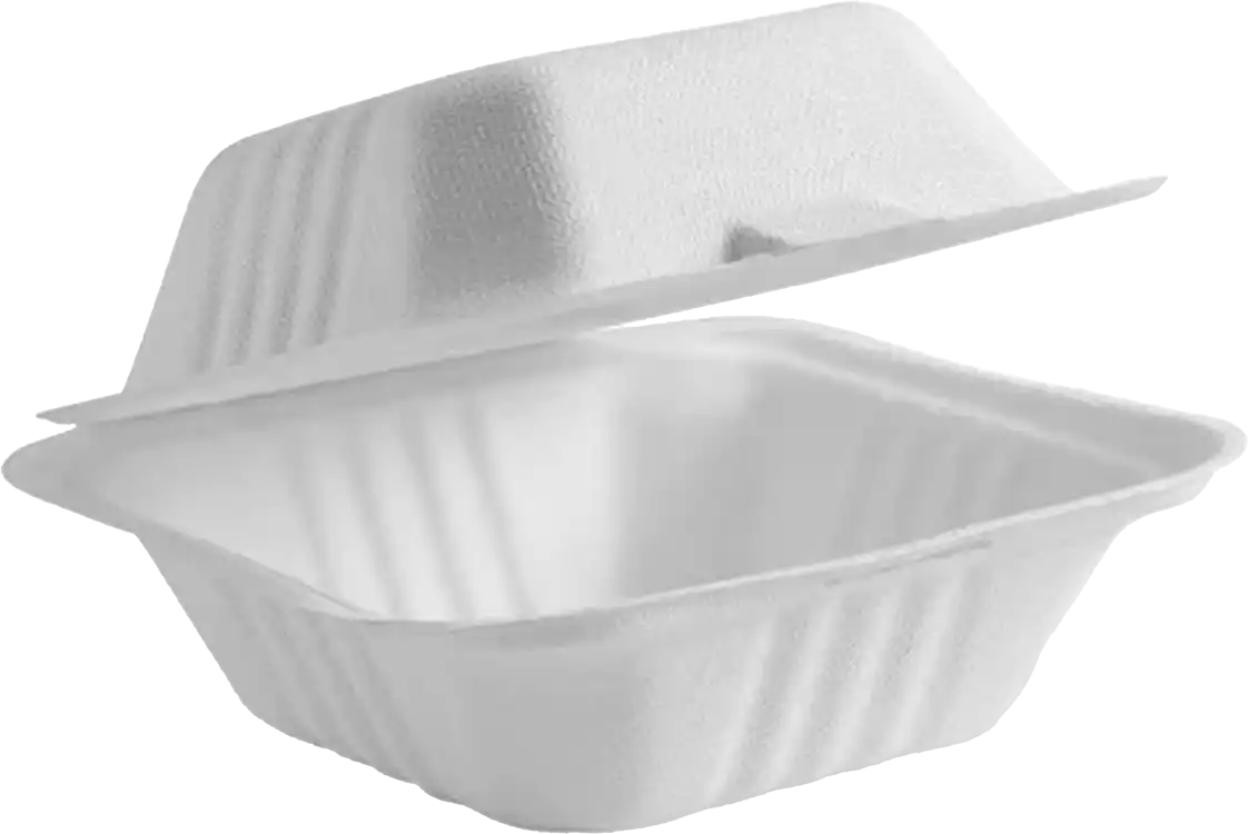 Baggase MP6 Burger Boxes