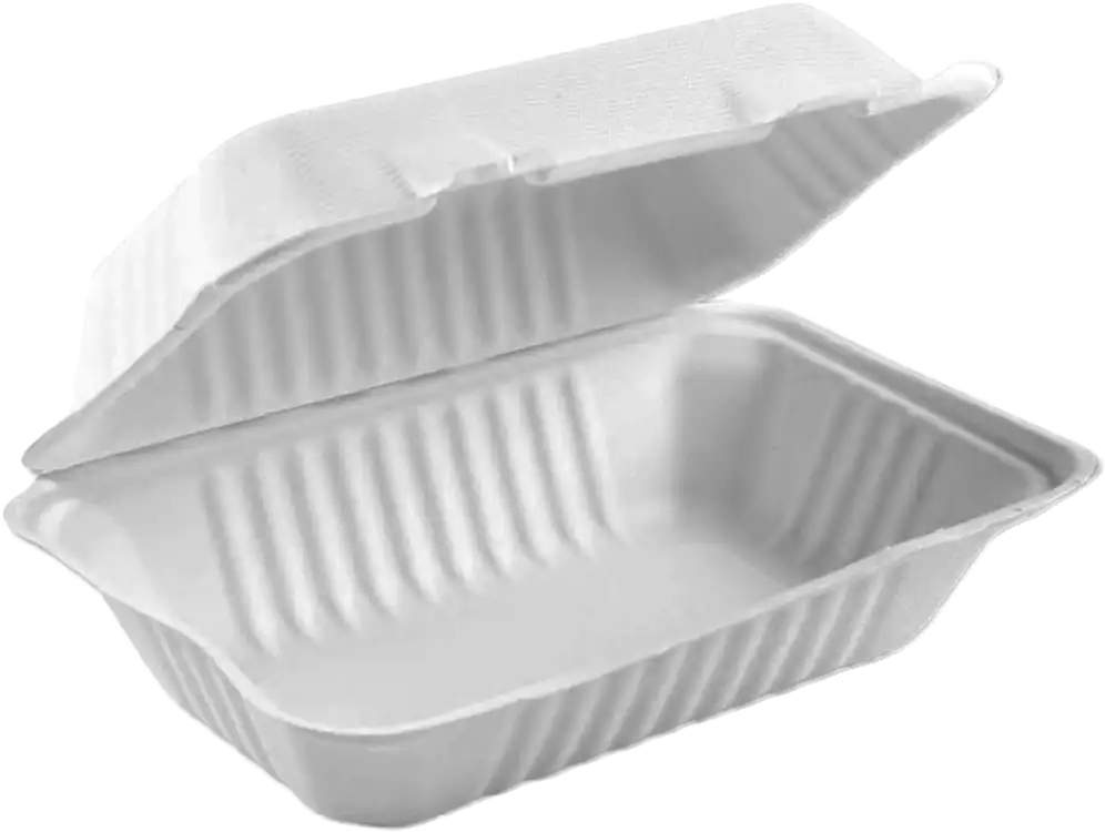 Baggase MP9 Burger Boxes