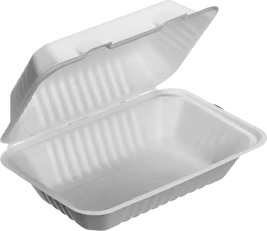 Baggase MP10 Burger Boxes