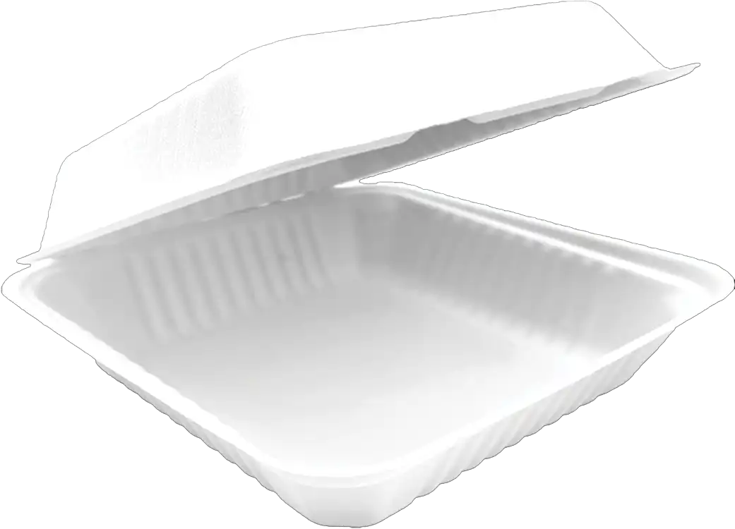 Baggase MP1 Burger Boxes