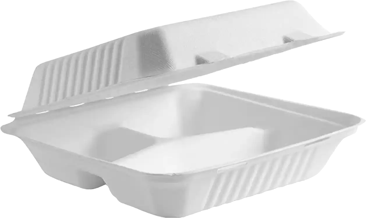 Baggase MP3 Burger Boxes
