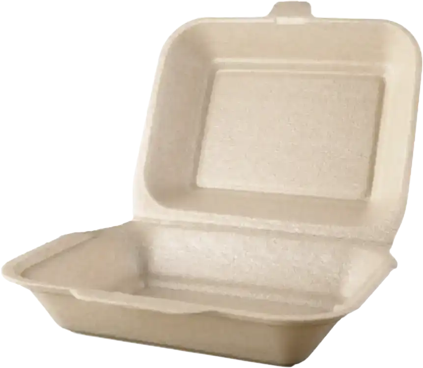 HB9 Brown (LARGE) Burger Boxes
