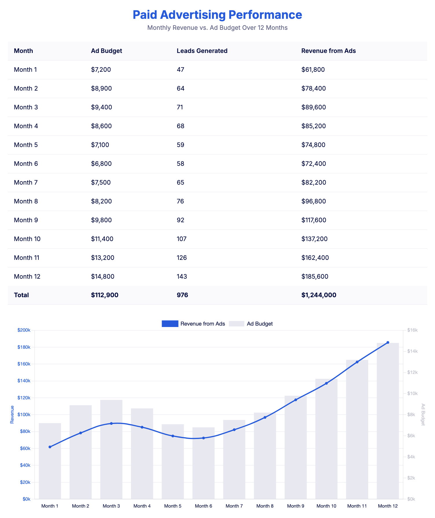 Paid Marketing Results Over 12 Months