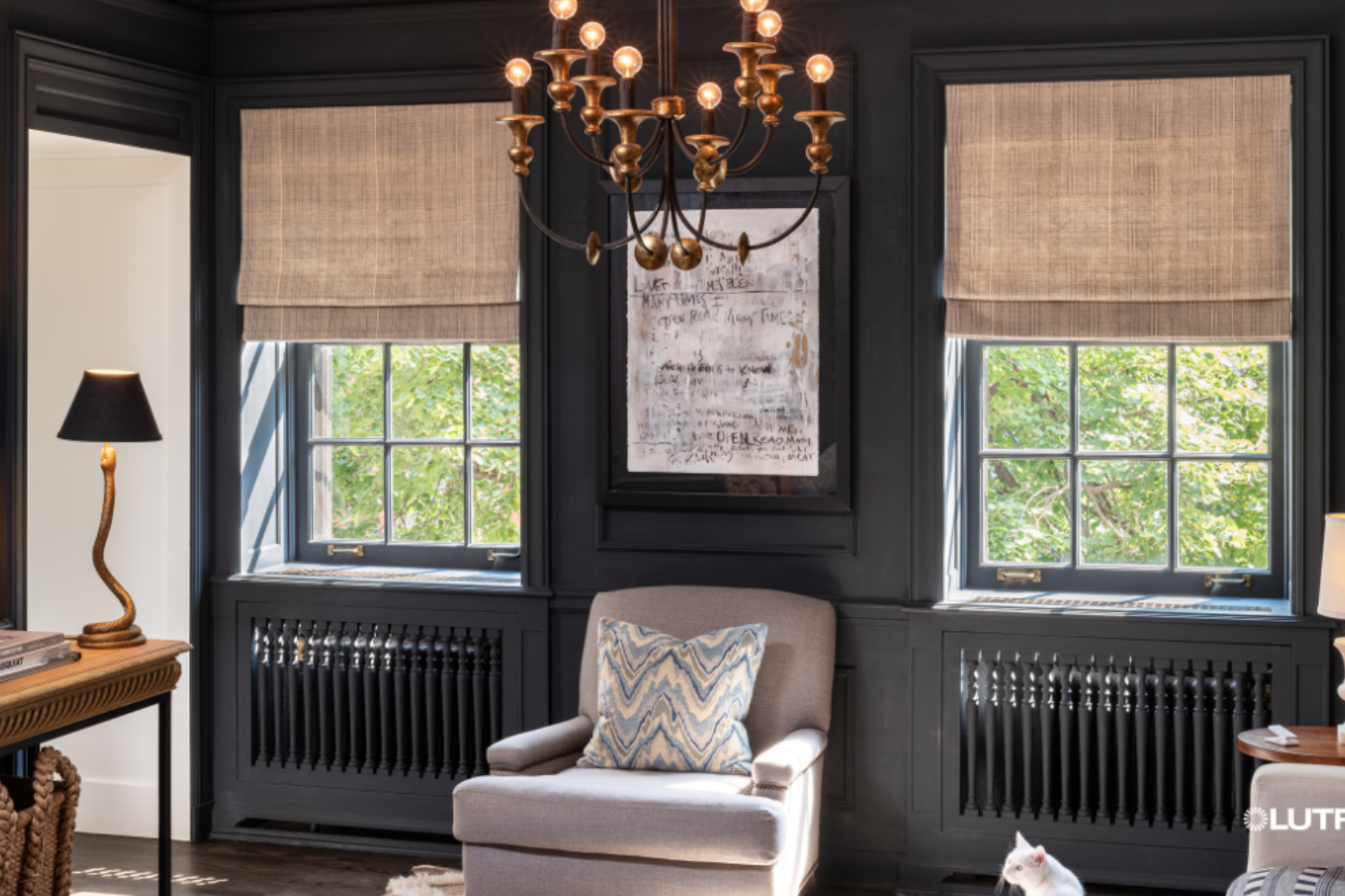 Room with beige shades and dark walls.