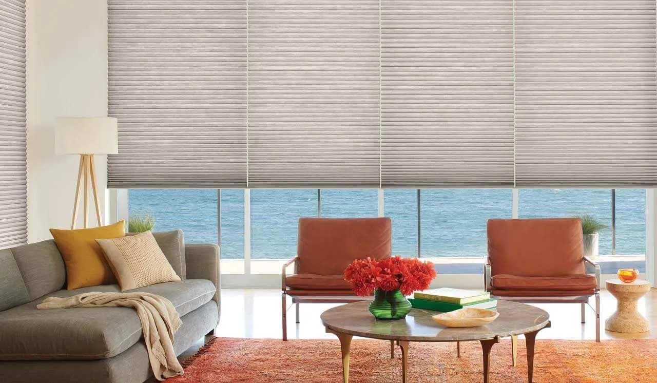 Living room with cellular honeycomb shades, ocean view.