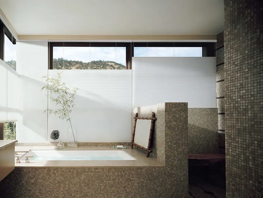 Bathroom with cellular honeycomb shades, Santa Rosa landscape view.