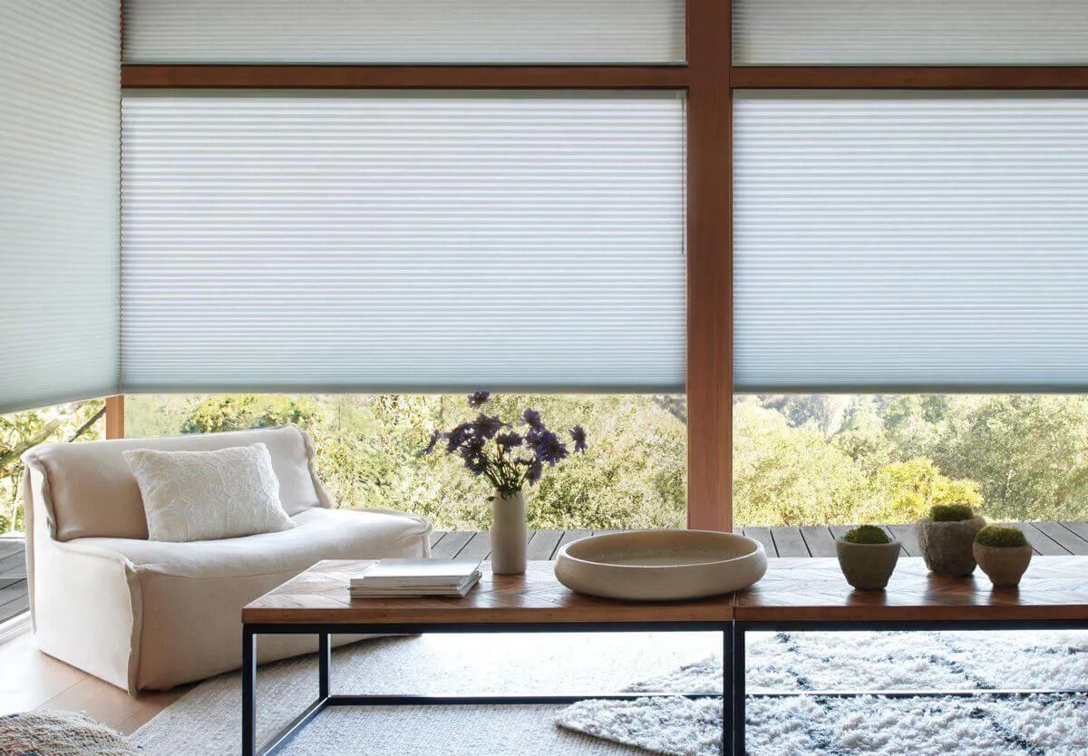 Living room with cellular honeycomb shades.