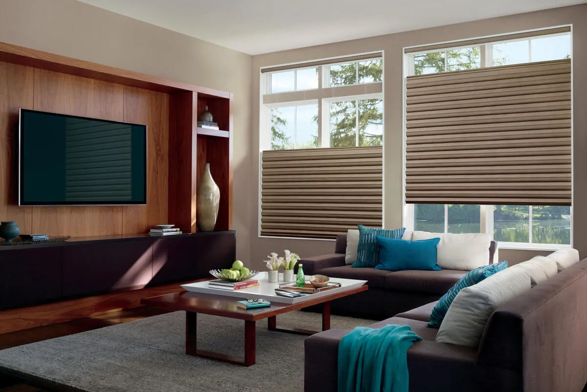 Living room with Roman shades on windows, modern decor.