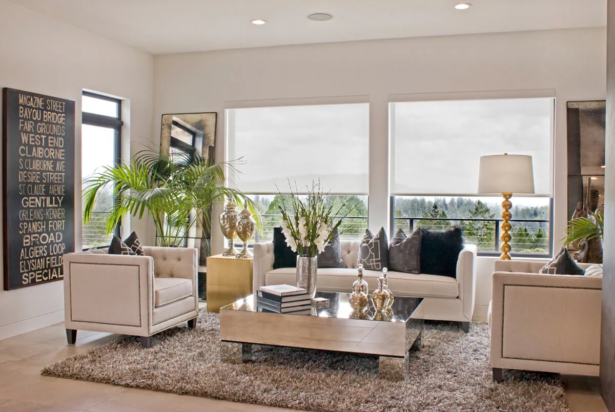 Living room with roller shades, modern furniture, and plants.