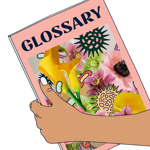 glossary