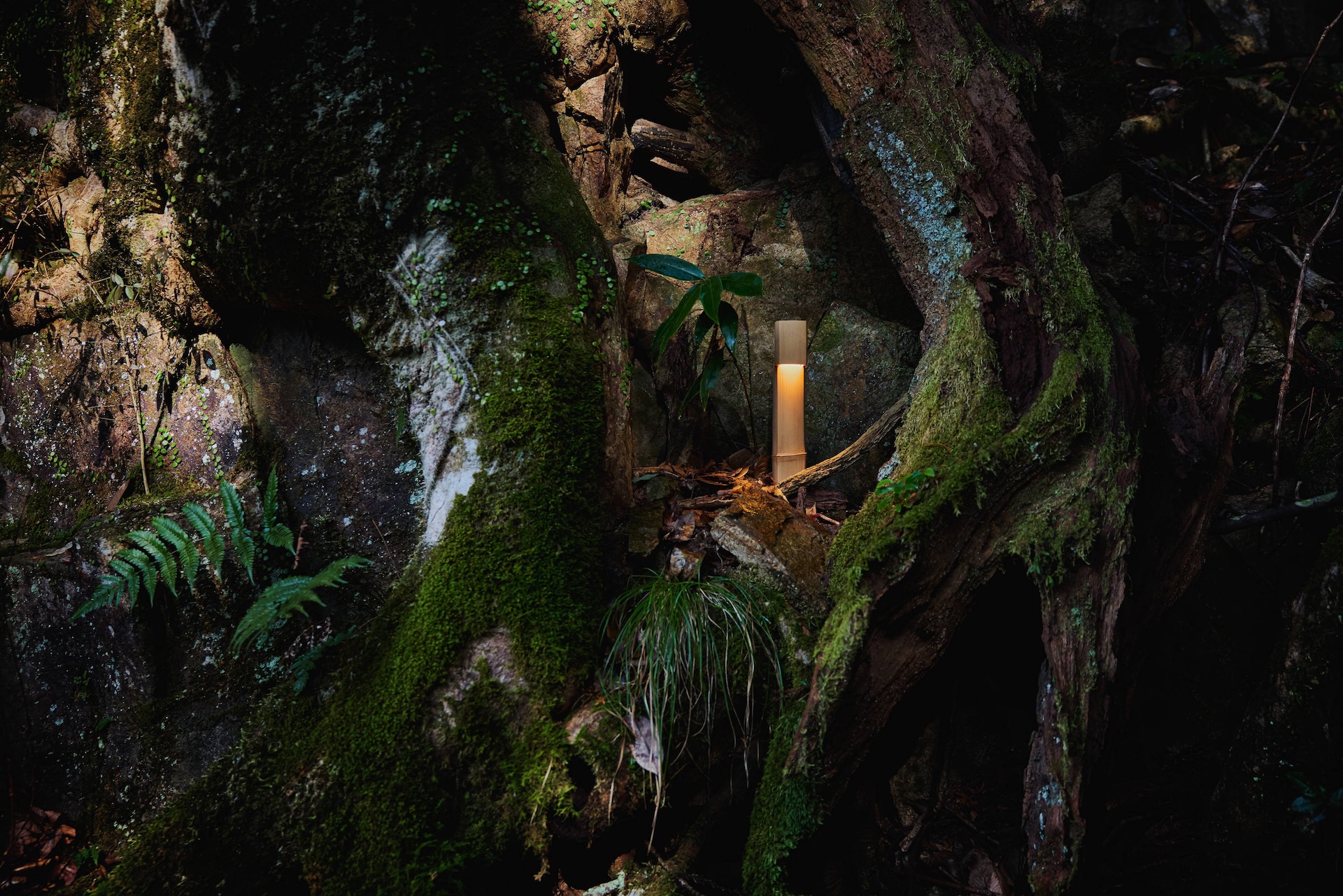 Nosou is a contemporary design brand born from the collaboration between natural materials and Japanese craftsmen, highlighting the primitive beauty inherent in each material. Guided by the theme 'Time Makes Beauty,' it embraces natural aging as a form of beauty that deepens over time. Its first collection features lighting crafted from bamboo sourced in Kyoto, now presented to the world for the first time. Inspired by Wabi–Sabi, each handcrafted piece develops its own character through years of use, becoming a unique object to cherish. Light is adjusted by moving the fixture itself, creating a new relationship between people and light. Nosou presents its world premiere at 3daysofdesign 2026.