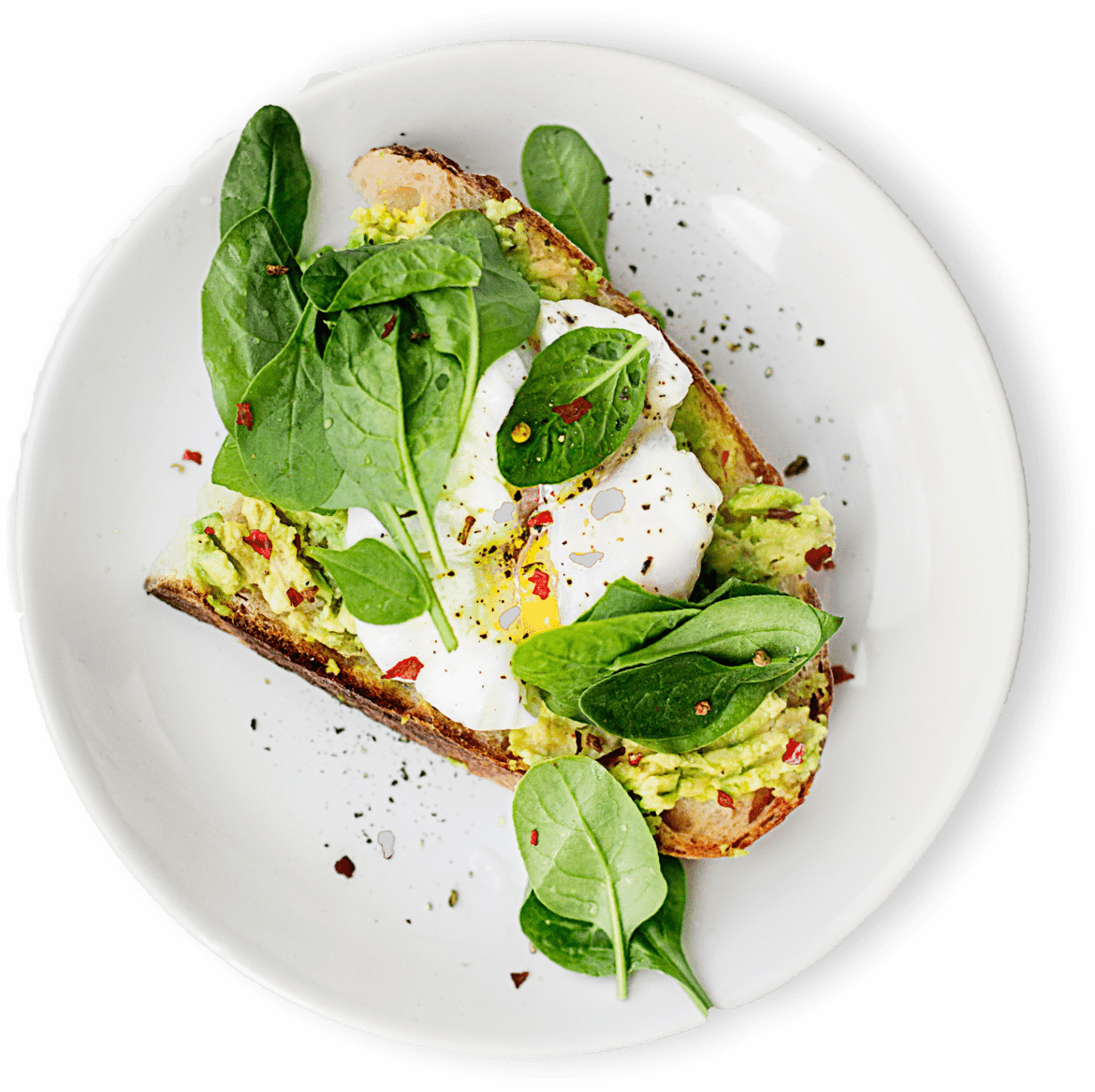 COMIDA SALUDABLE VERO ROSA WELLNESS COACH