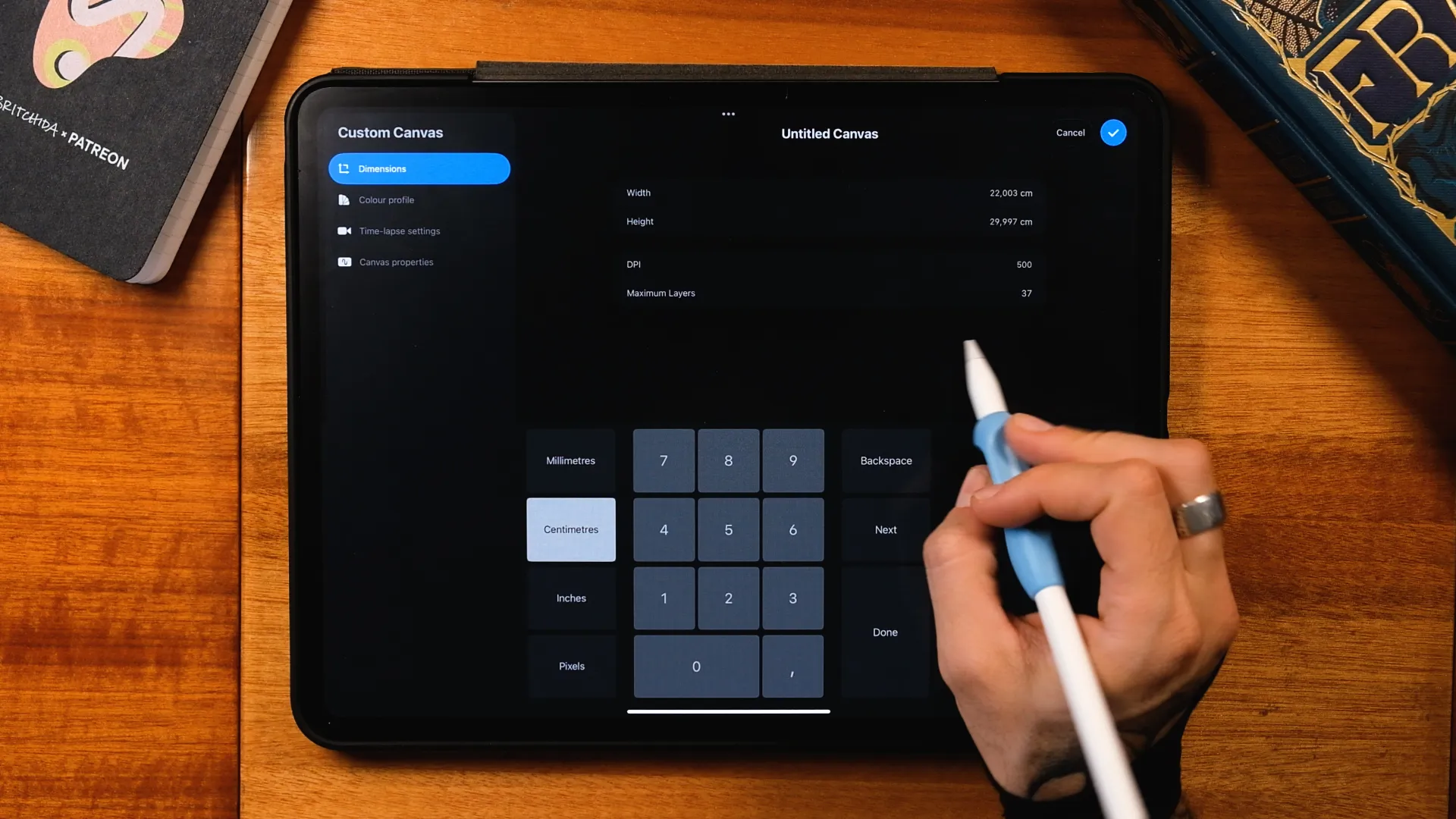Procreate canvas settings 22x30 cm and DPI setup